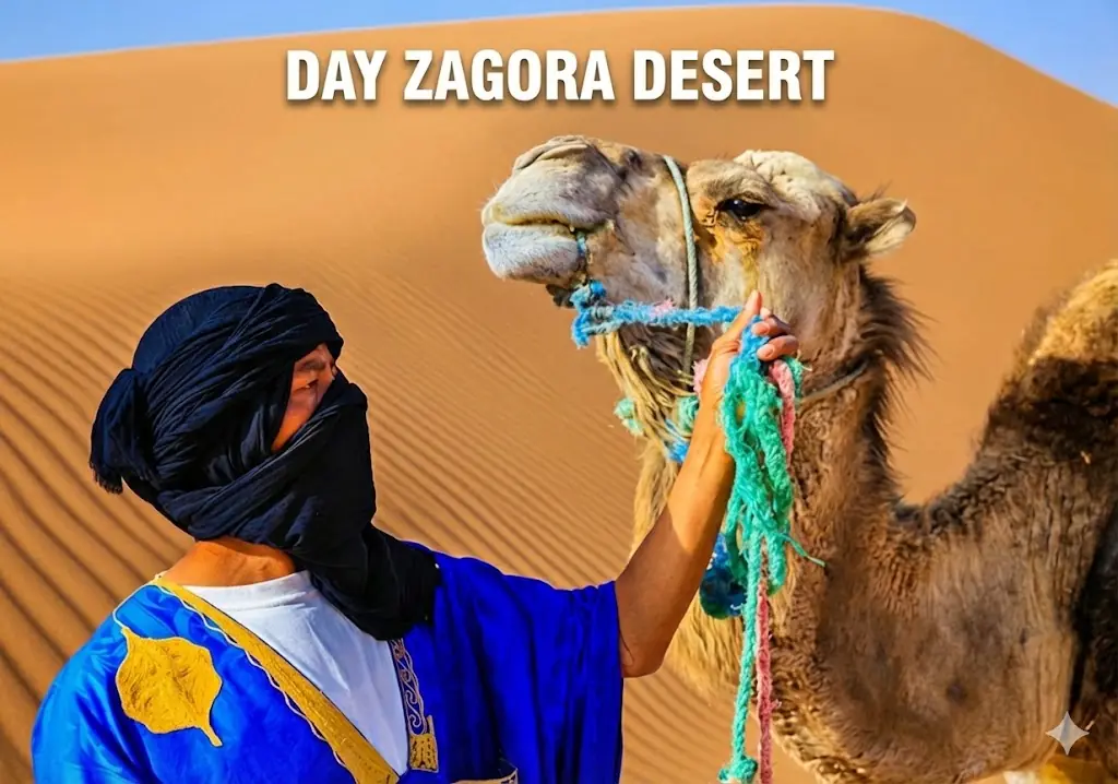 2-Day Zagora Desert Expedition
